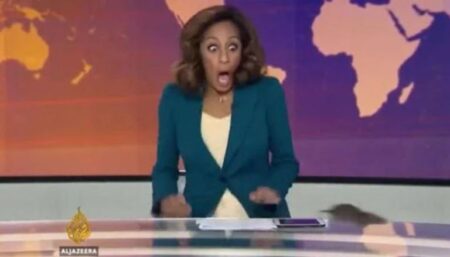 The Trending “Mouse in the Studio” Viral Video - A Truth or Lie