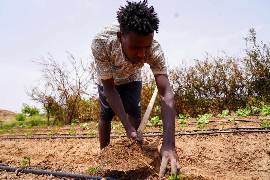 World Food Programme Warns from A Global Hunger Crisis in 2026 World Food Programme Warns from A Global Hunger Crisis in 2026