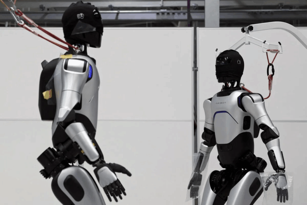 In 2025 – Humanoid Robots Are Not Limited to Factories – What Does that Mean?