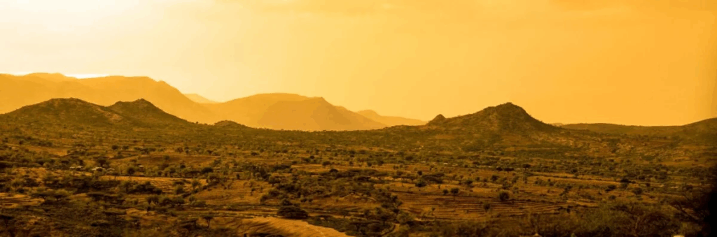 7 Important Facts About Somali Identity Resilience