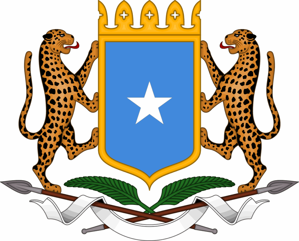 MAAMULISTA INTARNETKA SOOMAALIYA