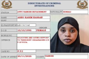 HAWEENEY SOOMAALI AH OO LAGU EEDEEYAY ARGAGAXISINIMO: SAAMEYNTA TAAGEERIDDA ARGAGAXISADA Saameynta taageeridda argagaxisada