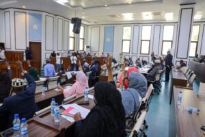 Hanaanka lacag bixinta qaranka