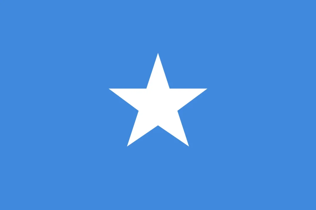 2025-2030 weapons management