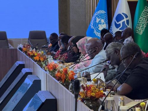 Somalia's tourism sector