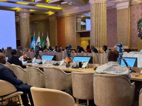 Somalia's tourism sector