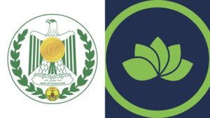 Saameynta e-visa ee DFS