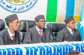 Kiiska gabadha 14 jirka