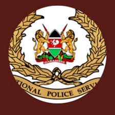 Saameynta taageeridda argagaxisada