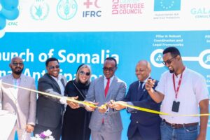 U diyaar-garoowga abaaraha