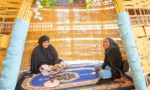What Makes Traditional Somali Healing Special?