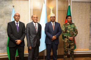 Defense Cooperation Somalia: Why Are Somalia and Djibouti Boosting Defense Ties?