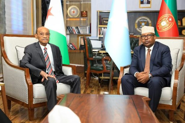 Defense cooperation Somalia