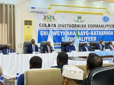 Banadir council elections