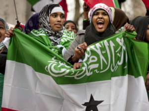 Why Did Egypt Somalia Djibouti Reject Israel Somaliland Recognition?