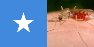 Malaria Control in Somalia: Can We Ever End This Disease?