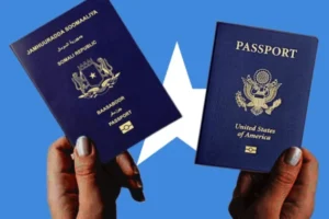 Dual Citizenship and 5 things that make people want it