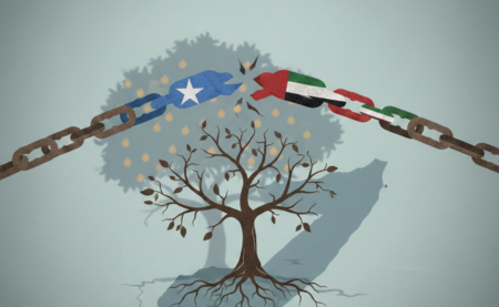 Is the Somali UAE Agreements cancellation a mistake for the nation