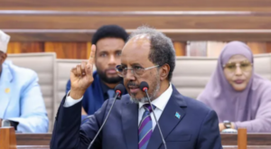 Somalia UAE Deals and the growing anger from local states