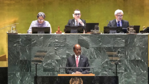 Somalia Security Council Presidency: A Defining Moment for National Power
