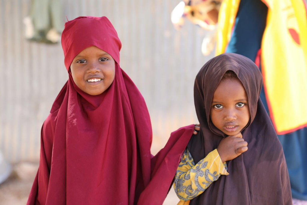 Somali Education Gap