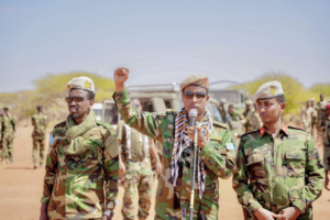 Did the Somali Intelligence Capture of a dangerous terrorist network save Mogadishu from a series of new attacks? Did the Somali Intelligence Capture of a dangerous terrorist network save Mogadishu from a series of new attacks?