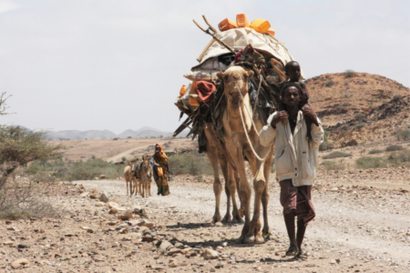Somali Governance Shift: How the Transition from Nomadic Life to City Living Transforms Identity