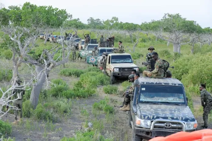 Jilib operation success