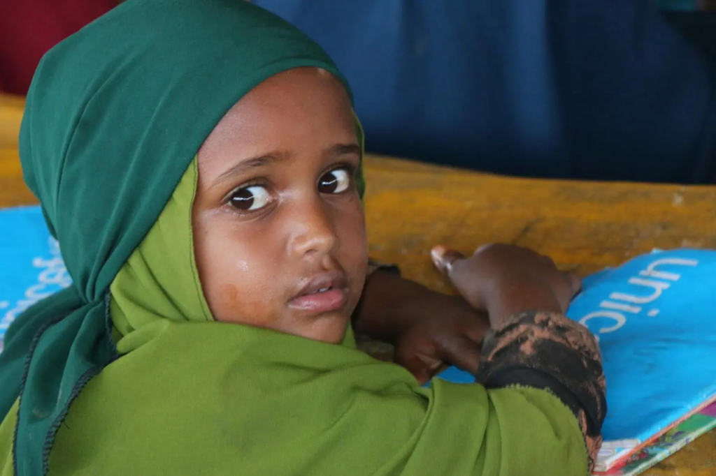 5 Simple Ways to Boost School Funding in Somalia for a Better Future
