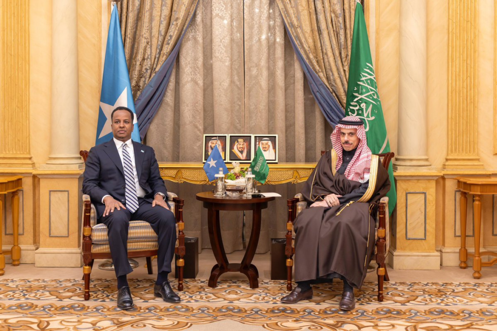 Somali Foreign Minister Meeting the Saudi Foreign Minister in Riyadh