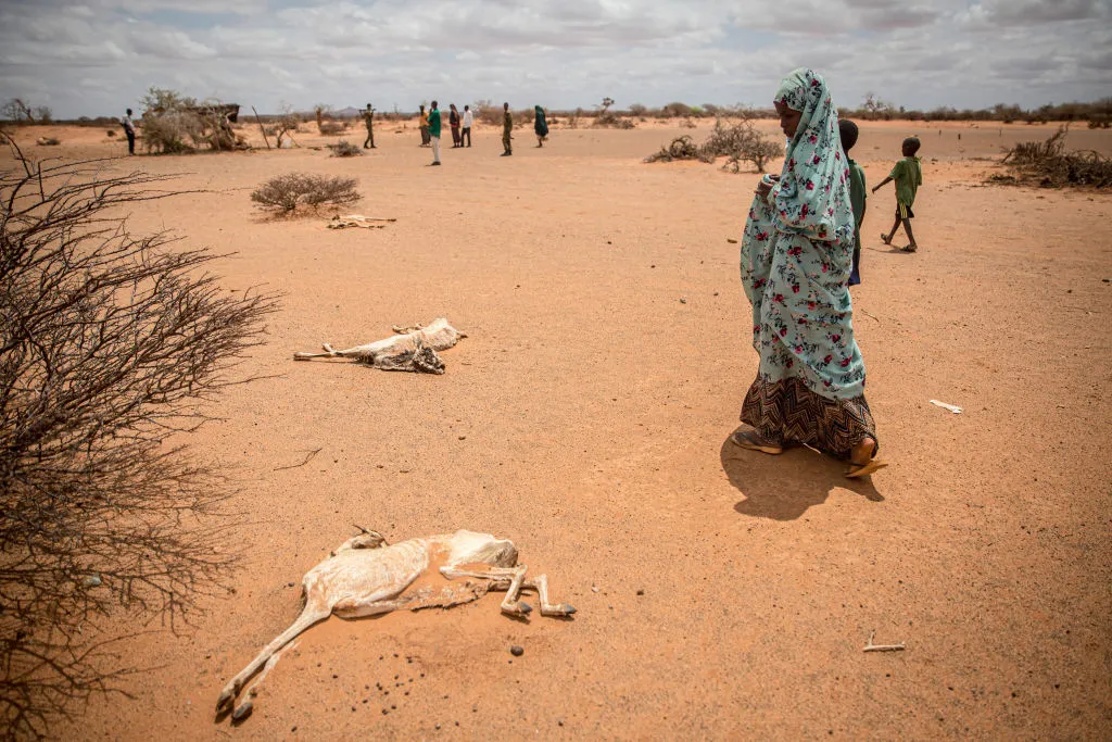 Health crisis in Somalia