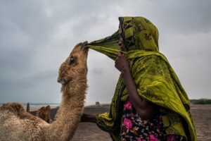 Why Is Camel Social Wealth Still the Best Way to Save for the Future?
