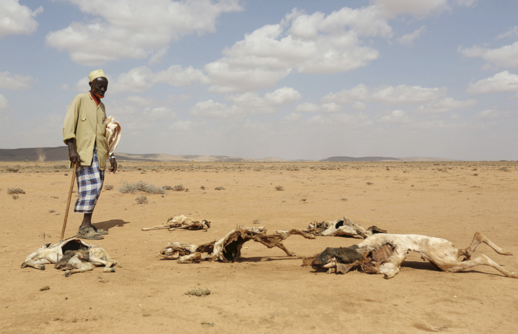 Somali drought victims