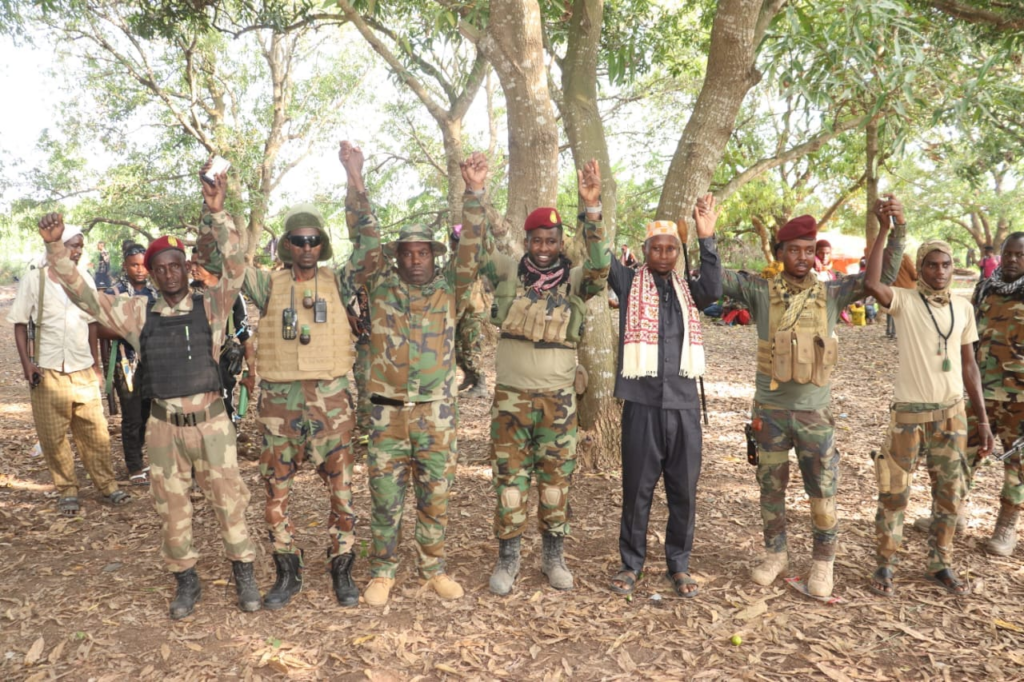 Somali amnesty offer