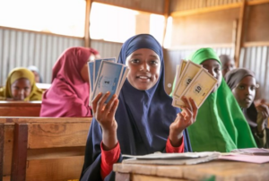 Somali education growth: national university drives progress