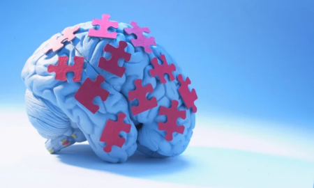 Can Simple Brain Training Games Actually Change The Way We Think And Act Every Day?