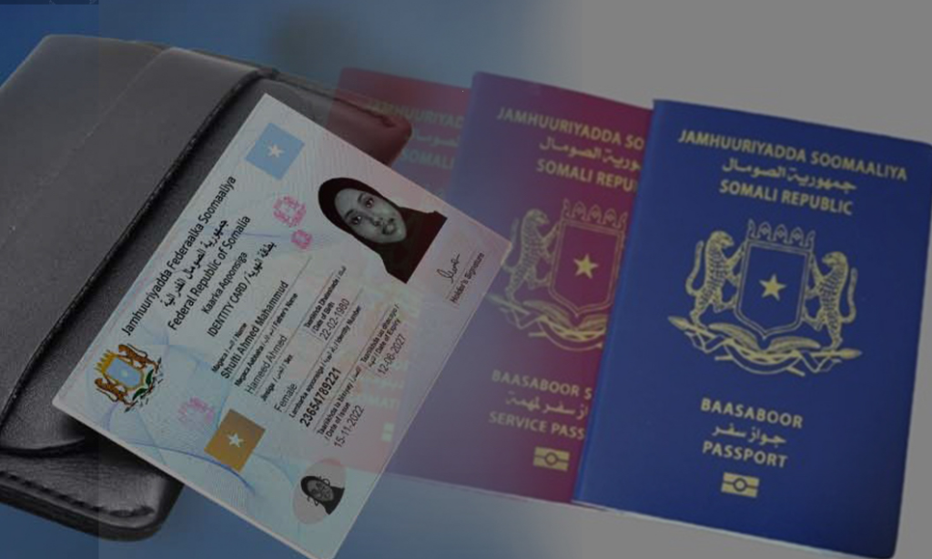 Somali Passport Rumors: Official Denial of Travel Restriction Claims to Egypt