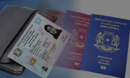 Somali Passport Rumors: Official Denial of Travel Restriction Claims to Egypt Somali Passport Rumors: Official Denial of Travel Restriction Claims to Egypt