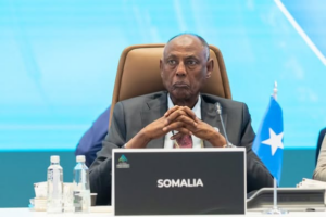Somali Labor Meeting: Minister and WFP Join Forces