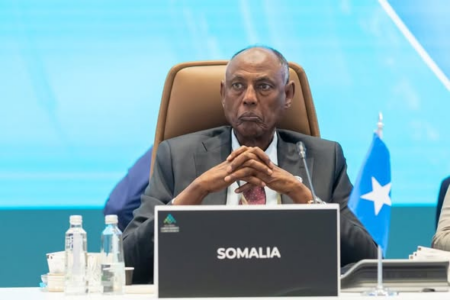 Somali Labor Meeting: Minister and WFP Join Forces