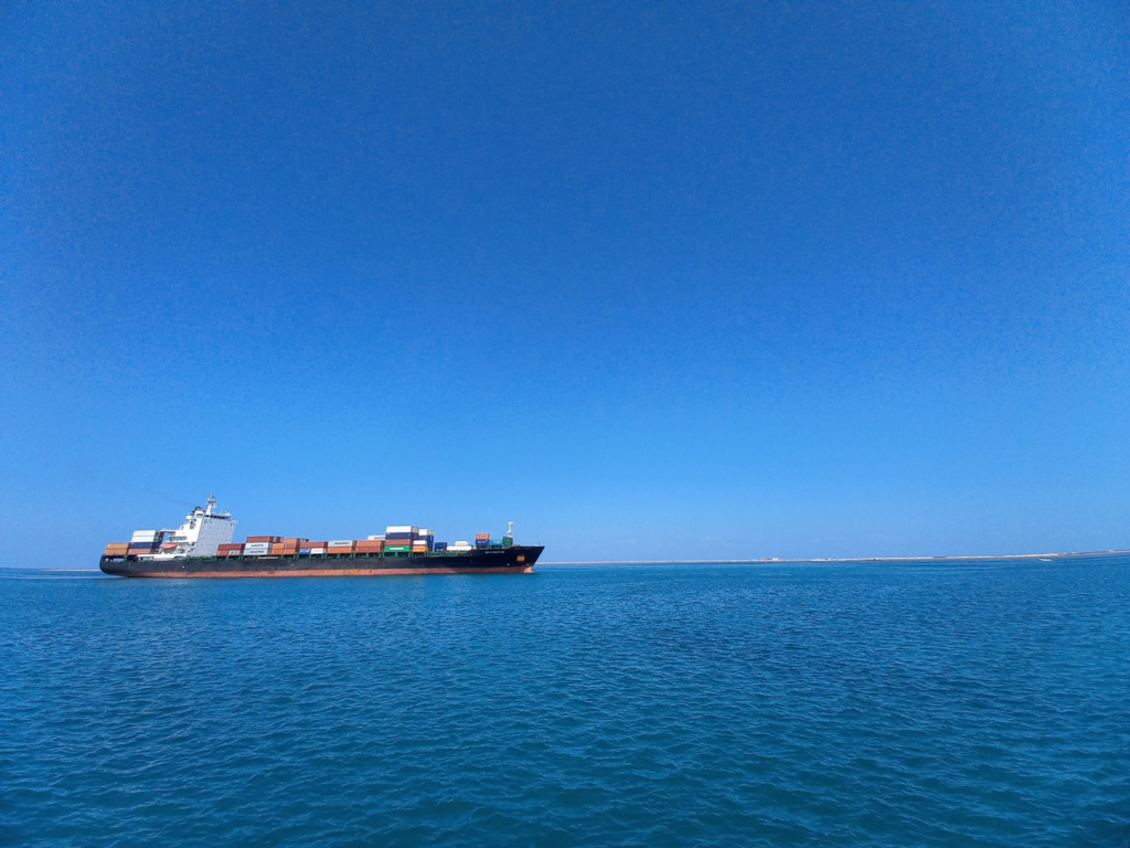 Berbera Ship tragedy: Livestock Lost Near Bab al-Mandab