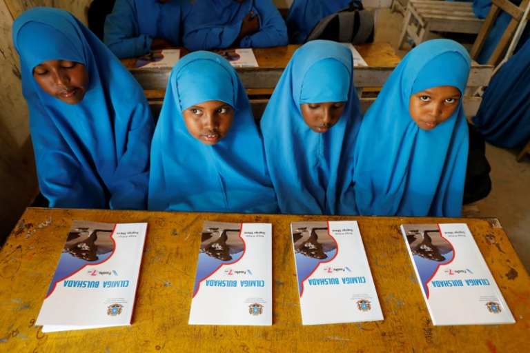 Somali school systems and the path to a better future