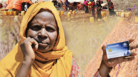 Somali Economy Outlook: Can Challenges Fuel Growth?