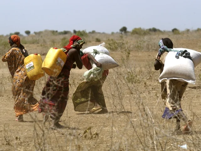 Somali Economy Outlook