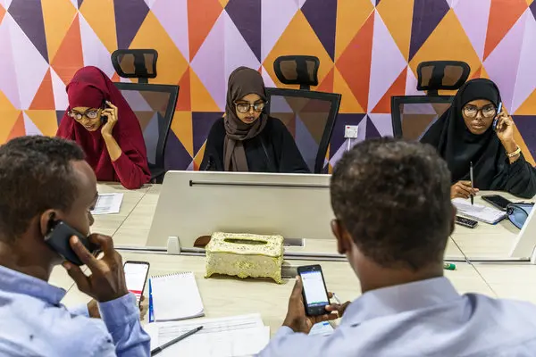 Somali higher education