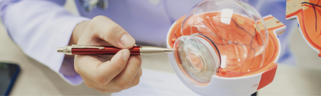 Better glaucoma cure