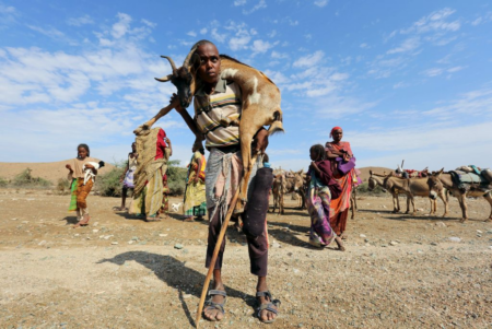 Why is Somali nomad life still so important for people today? Why is Somali nomad life still so important for people today?