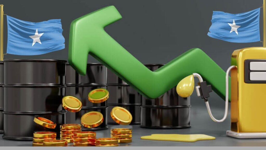 New fuel rules and the fight for lower prices in Somalia