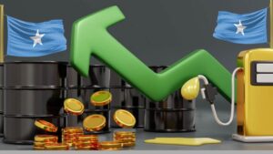 New fuel rules and the fight for lower prices in Somalia New fuel rules and the fight for lower prices in Somalia