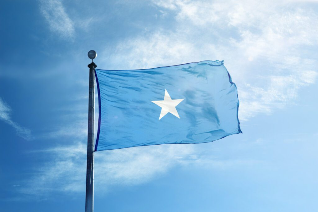 Somali Political Future